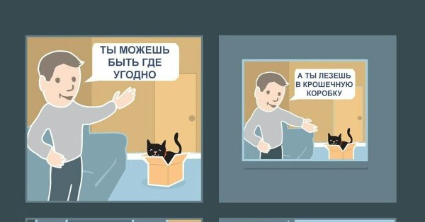 Мемы про котов коробки