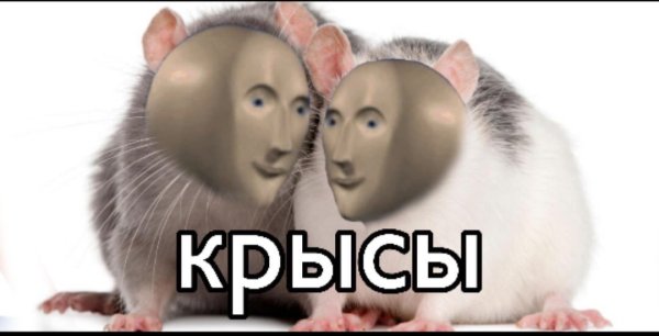 Крыса Мем