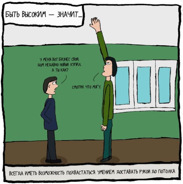 Шутки про высоких людей