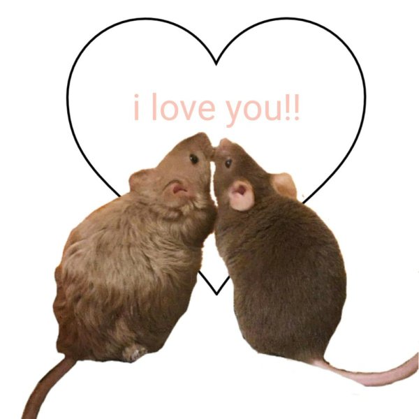 Смешные валентинки