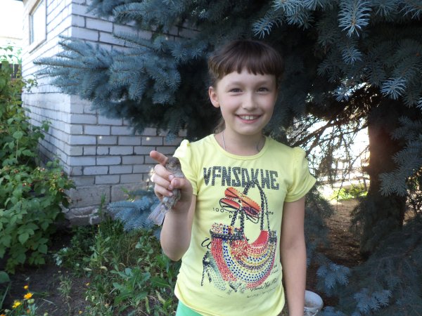 Озорной мальчишка