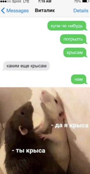 Мем ты крыса