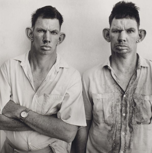 Роджер Баллен Близнецы