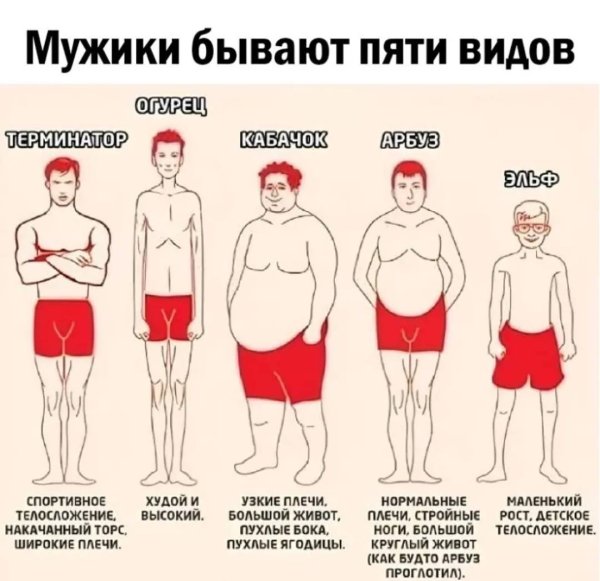 Типы телосложения у мужчин