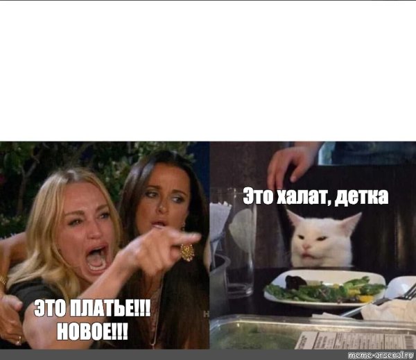 Мем с блондинкой и котом шаблон