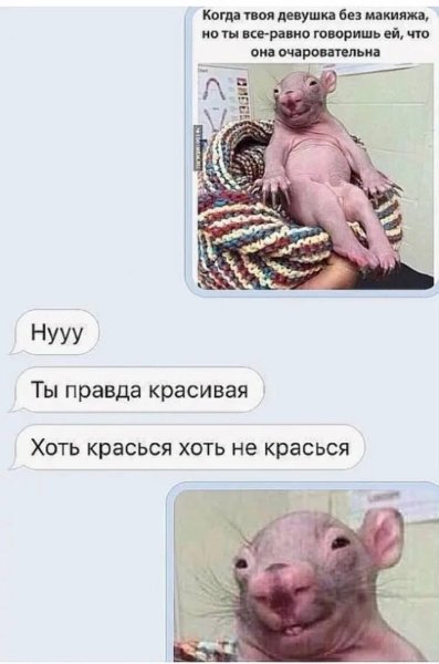 Мемы с крысами