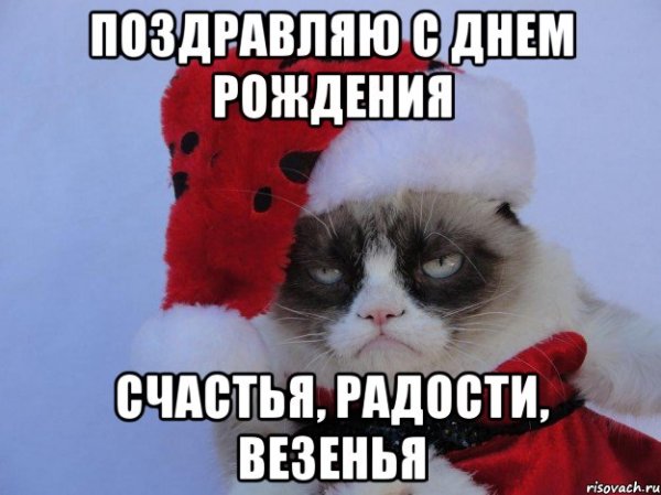 Поздравления с днём рождения мемы