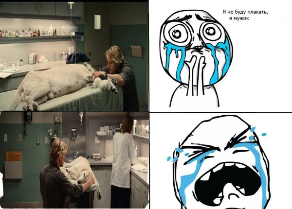 Необычные картинки мемы