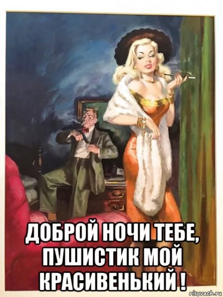 Блондинка и кот мемы