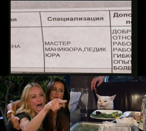 Мем с котами и девушками