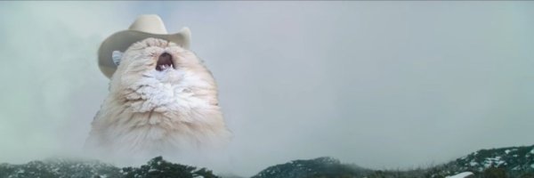 Кричащий кот в шляпе