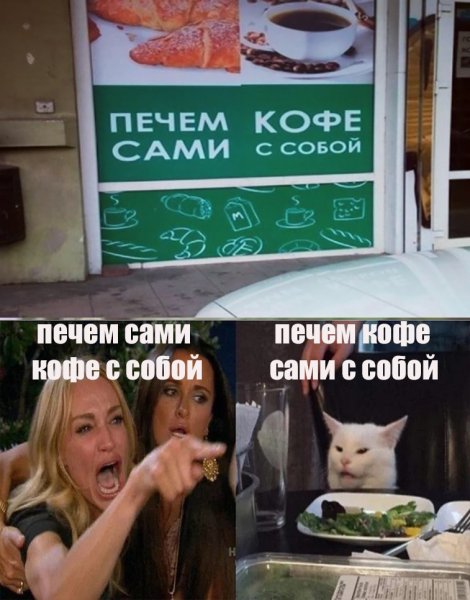Мем ся котом и девушками