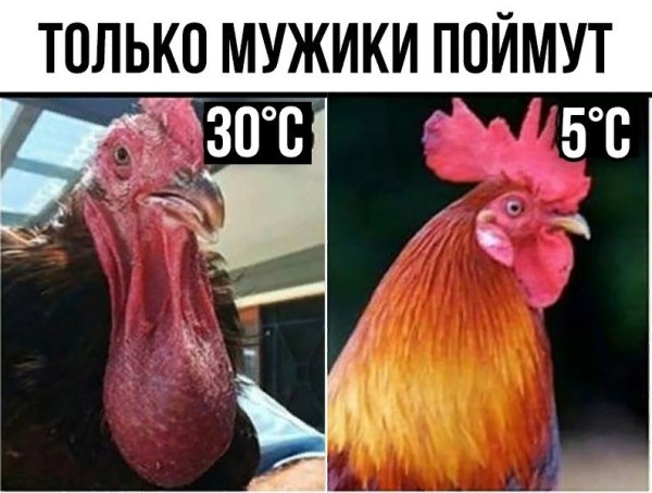 Поймут только пацаны