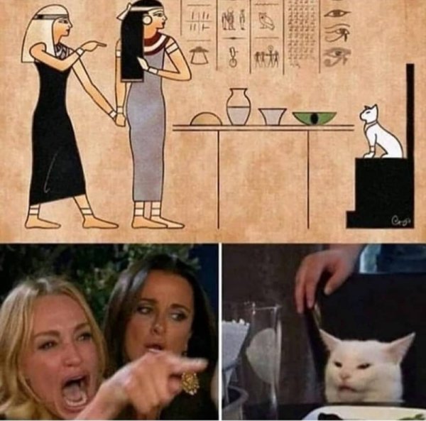 Мемы с котом за столом