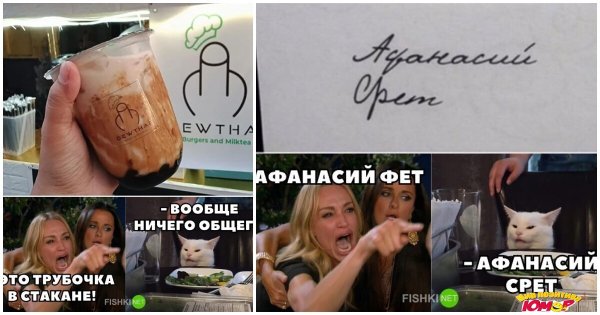 Кот Мем правда