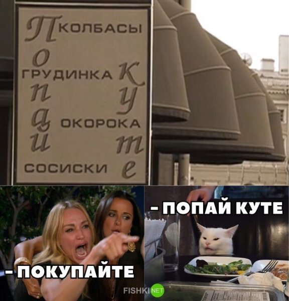 Мем с котом который читает неправильно