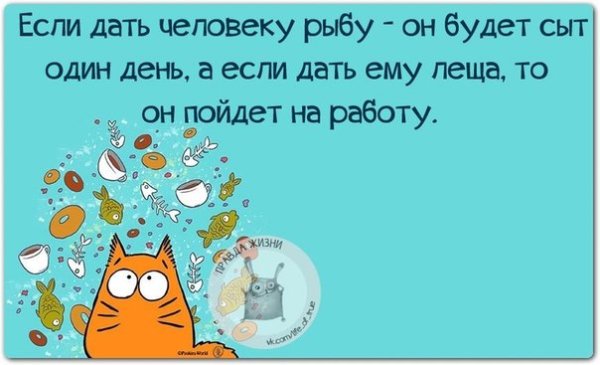 Смешные фразы про рыбу