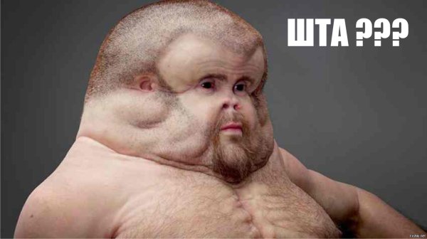 Мемы Информатика