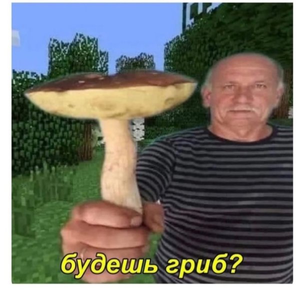 Будешь гриб с мужиком Мем