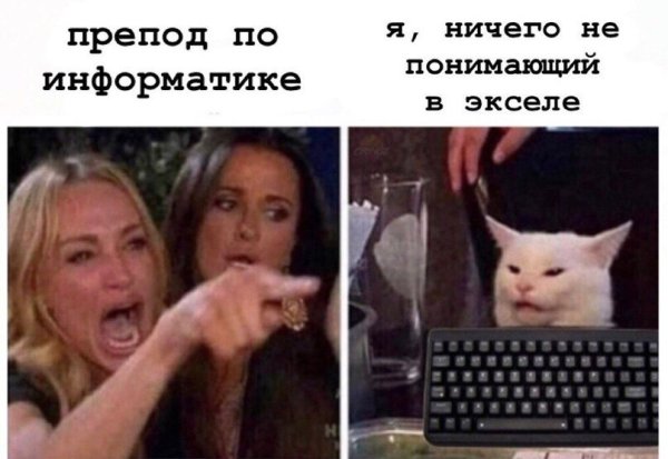 Мем женщина орет на кота