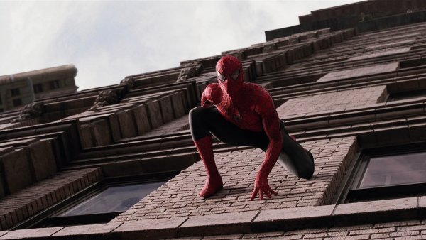 Питер Паркер 2004