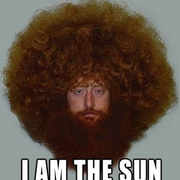 Лохматая голова