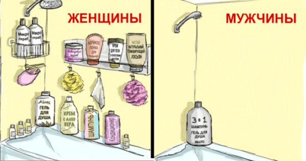 Различия между мужчиной и женщиной юмор