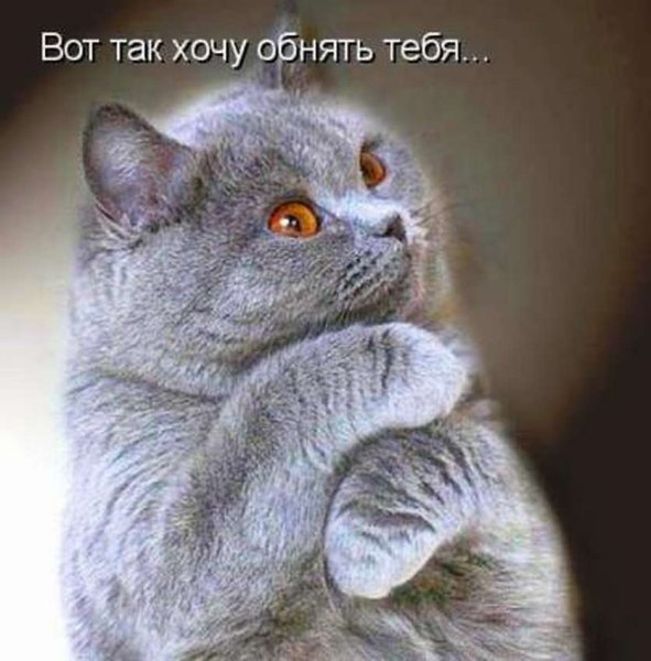 Так хочется тебя обнять