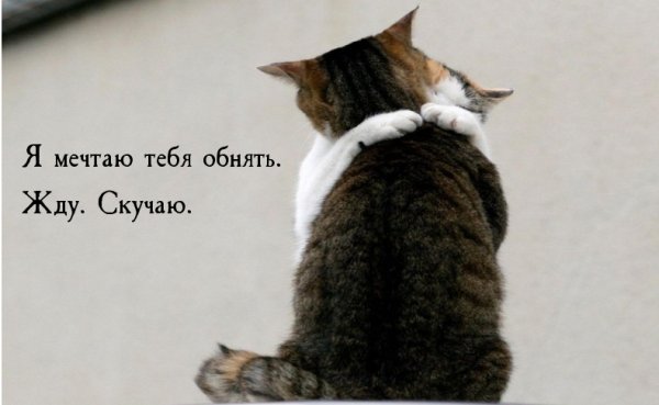 Открытки мужчине думаю о тебе