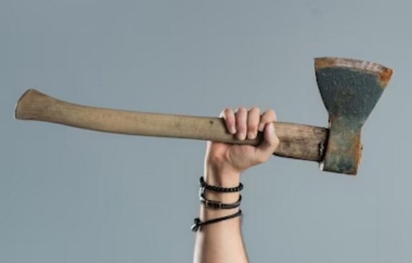 Топоры с пластиковым топорищем