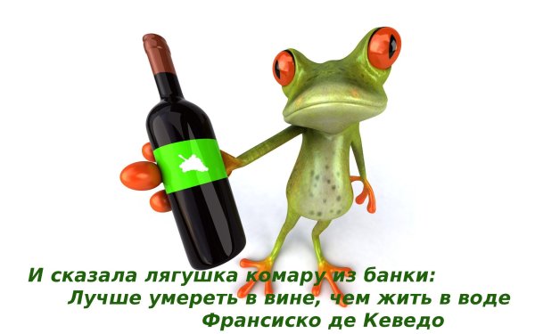 Лягушка бухает