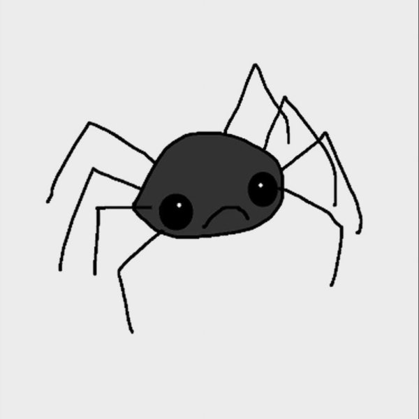 Мемы с пауками