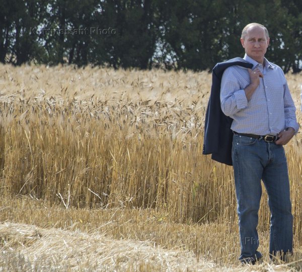 Мужчина в поле