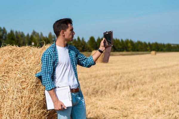 Мужчина в поле