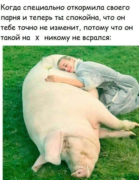 Когда раскормила своего мужика