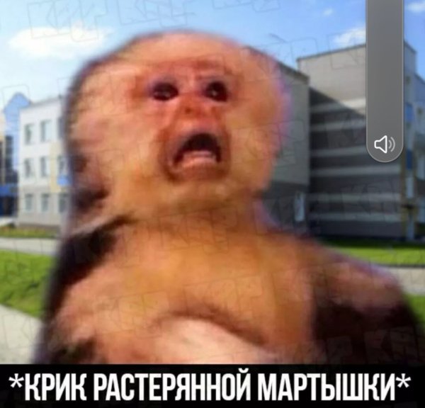 Крик растерянной мартышки Мем