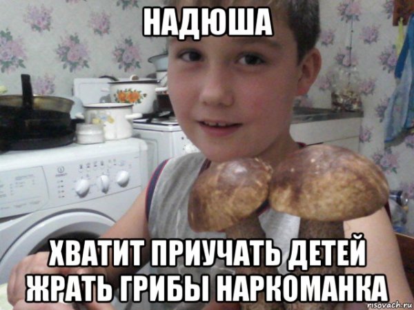 Мемас про грибы
