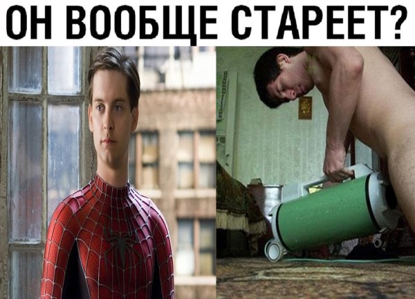 Самые лучшие мемы всех времен