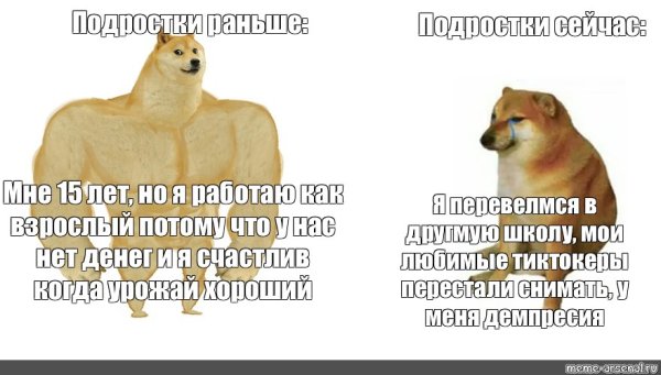 Собака качок Мем