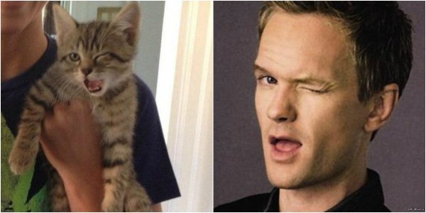 Подмигивание Мем