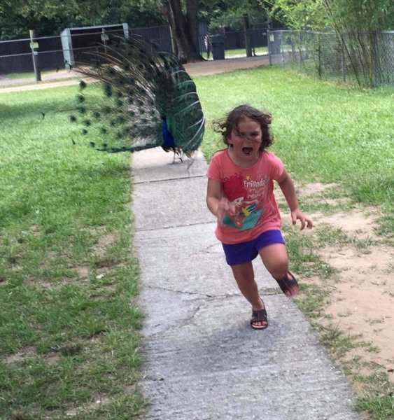 Девочка убегает