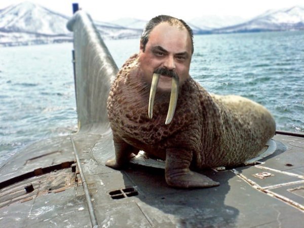 Костюм моржа