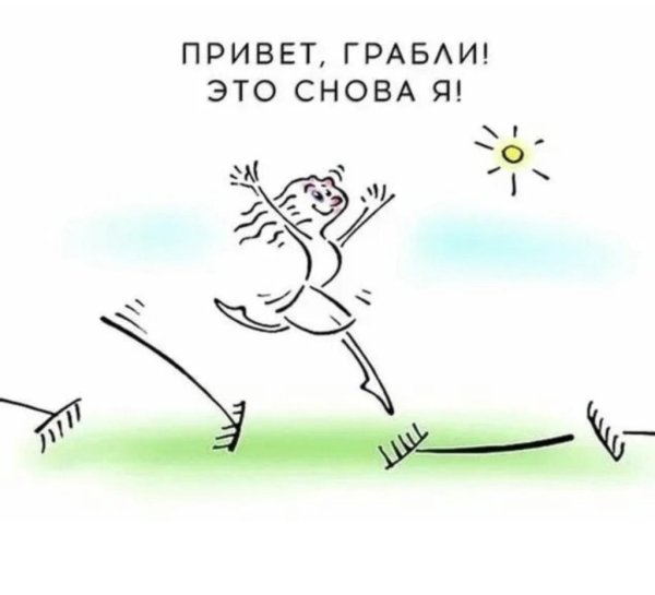 Наступить на грабли