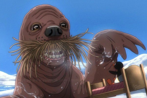 Pingu cartoon морж