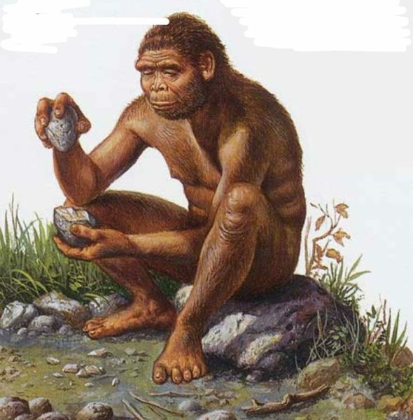 Человек умелый homo habilis