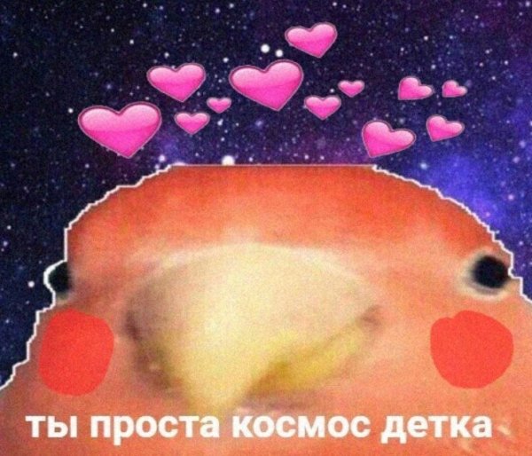 Пикчи я люблю тебя с сердечками