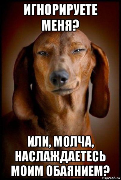 Шутки про игнорирование