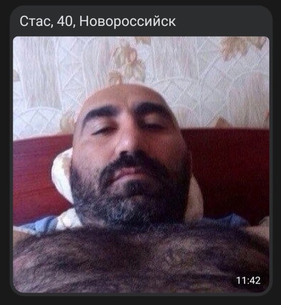 Котик таджик