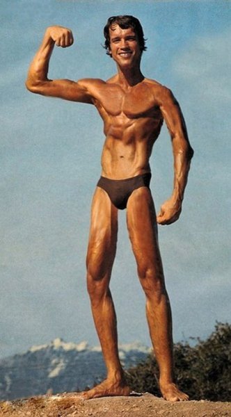 Арнольд дрищ