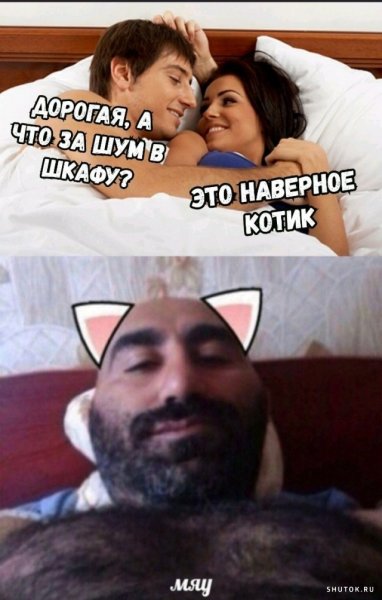 Котик таджик